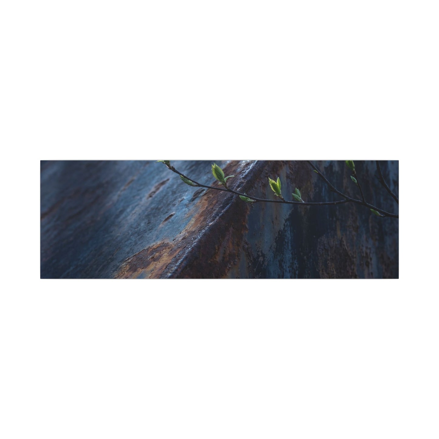 Rust Patina Canvas Art | Spring Dark Japandi Shadow Zen Art