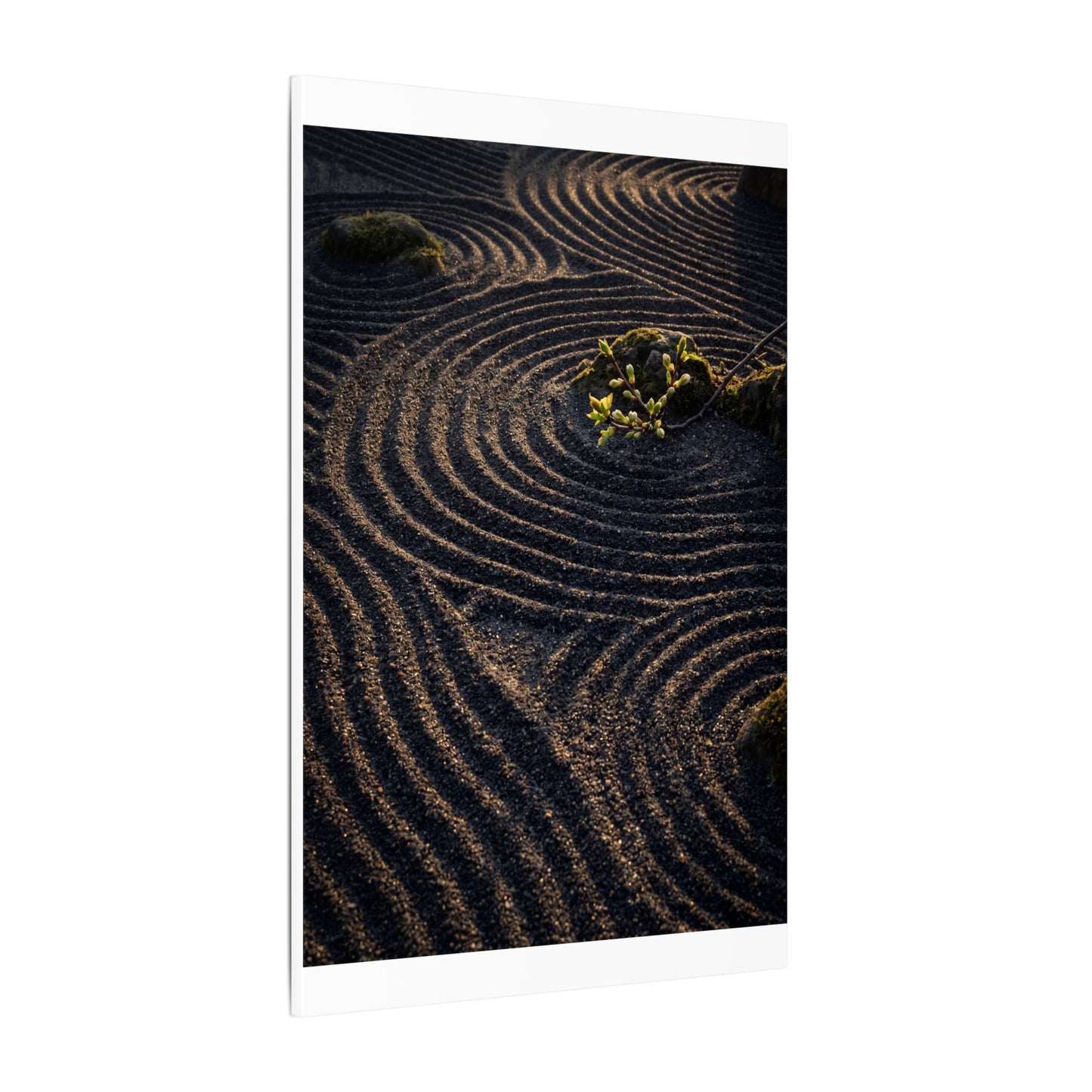 Spring Rock Garden Shadow Zen Canvas Art | Atmospheric Decor