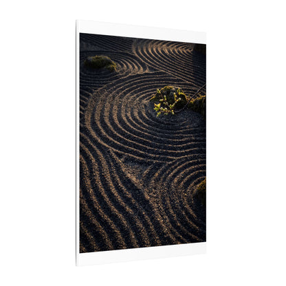 Spring Rock Garden Shadow Zen Canvas Art | Atmospheric Decor