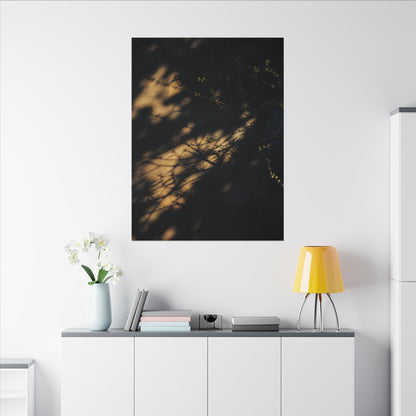 Moody Shadow Play Canvas Art - Moody Minimal Dark Japandi