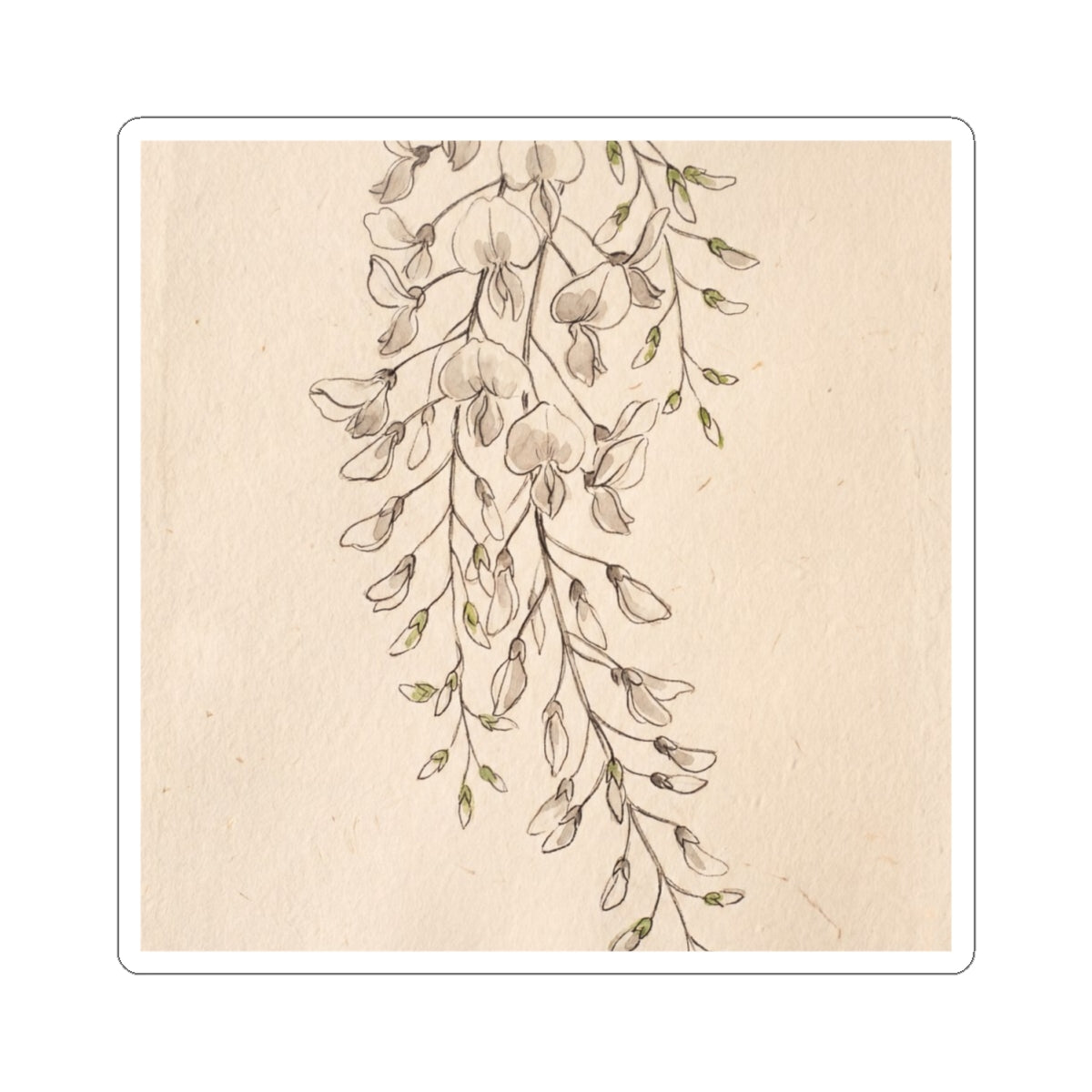 Wisteria Minimal Line Sticker | Earthy Japandi Art Art Print