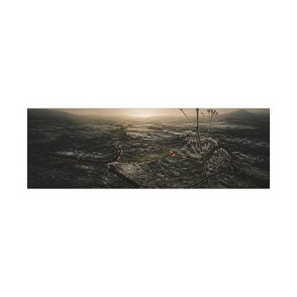 Dawn Cracked Earth Canvas Art - Dark Japandi Mono No Aware