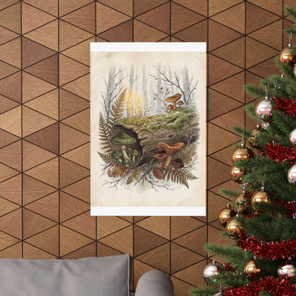 Winter Wild Mushrooms Herbarium Wall Art Print | Rustic Decor