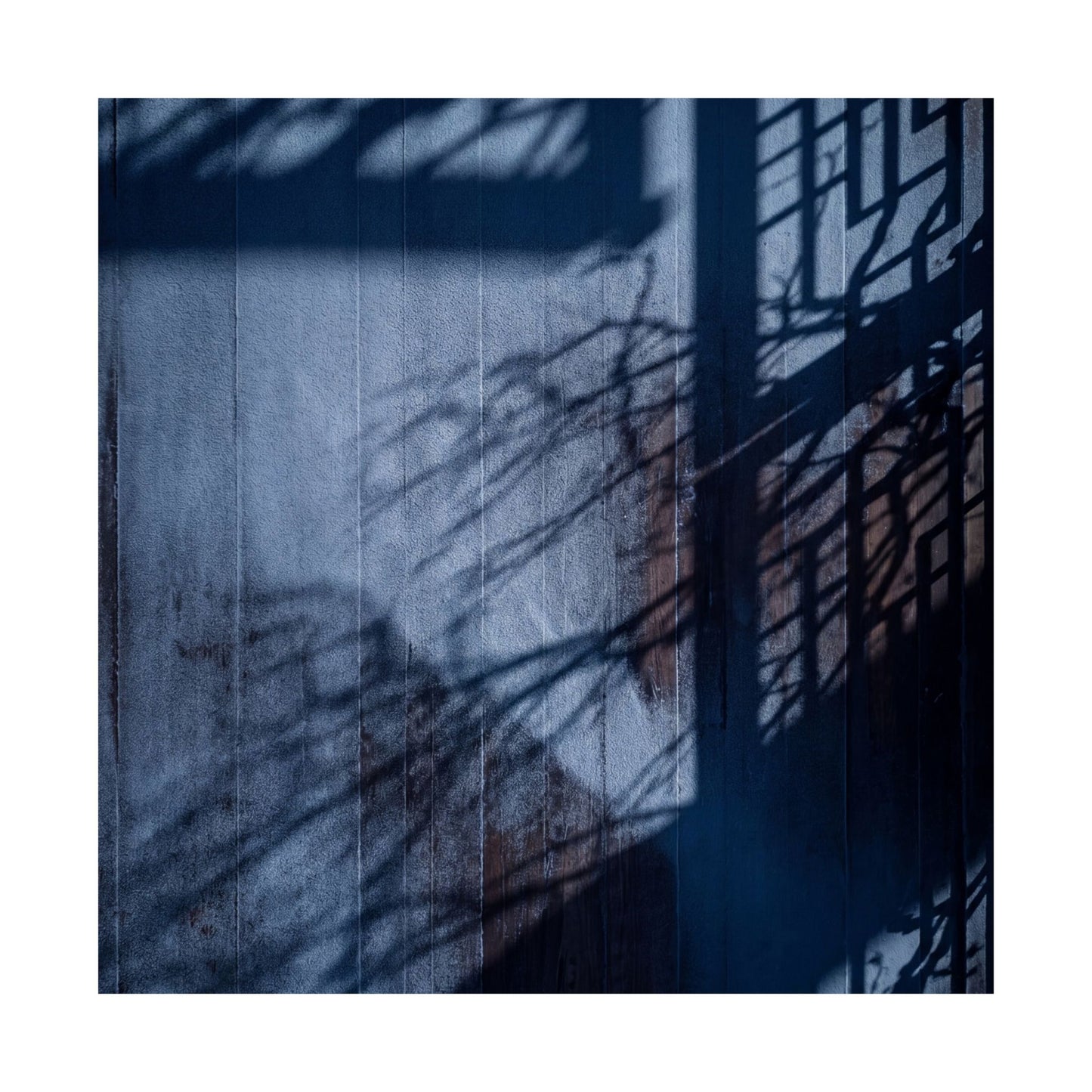 Sophisticated Shadow Play Wall Art Print - Moody Minimal Dark Japandi