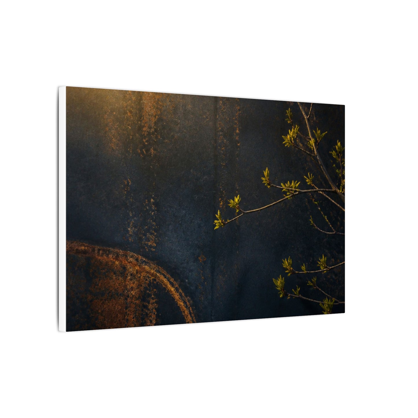 Spring Rust Patina Dark Texture Canvas Art | Moody Decor
