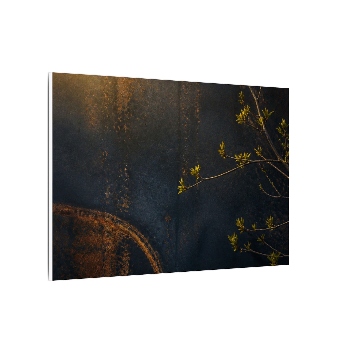 Spring Rust Patina Dark Texture Canvas Art | Moody Decor