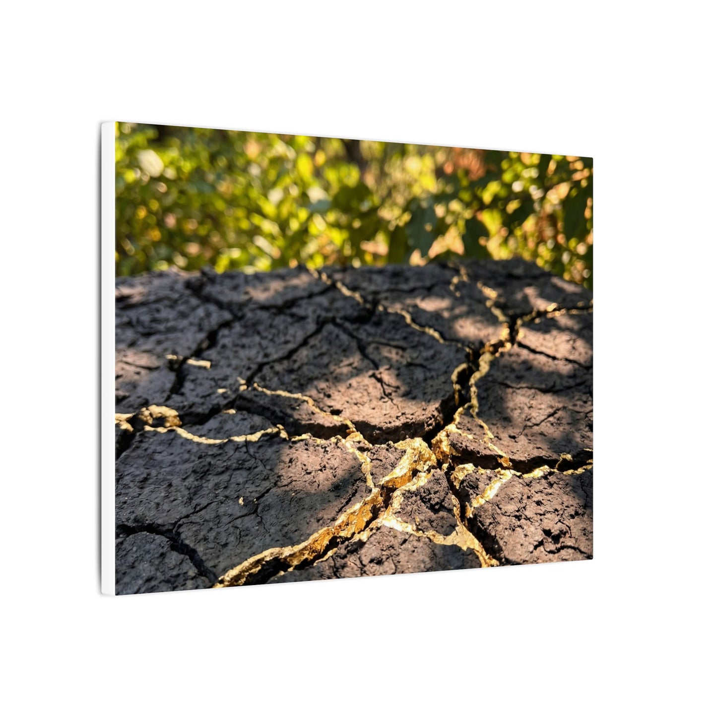 Shibui Cracked Earth Canvas Art - Kintsugi Gold Repair