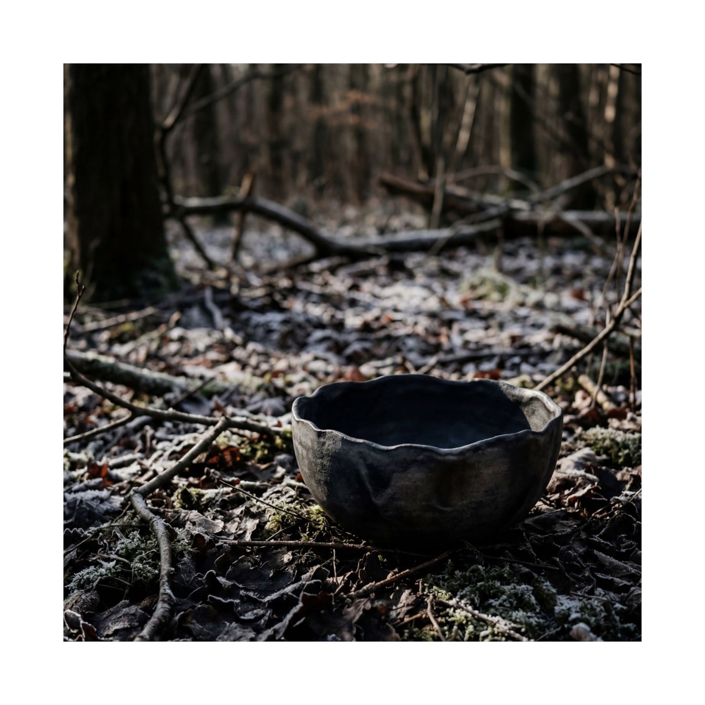 Winter Ceramic Bowl Shadow Zen Wall Art Print | Luxurious Decor