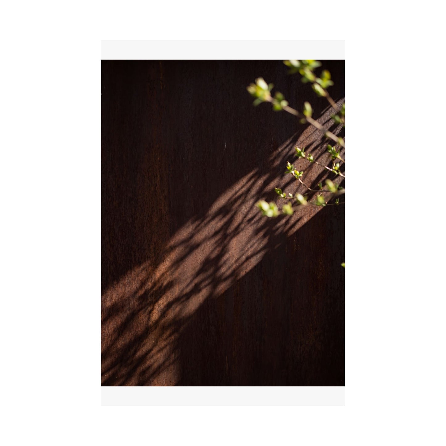 Rust Patina Spring Wall Art Print | Dark Japandi Atmospheric Design