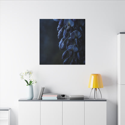 Winter Wisteria Shadow Zen Canvas Art | Atmospheric Decor
