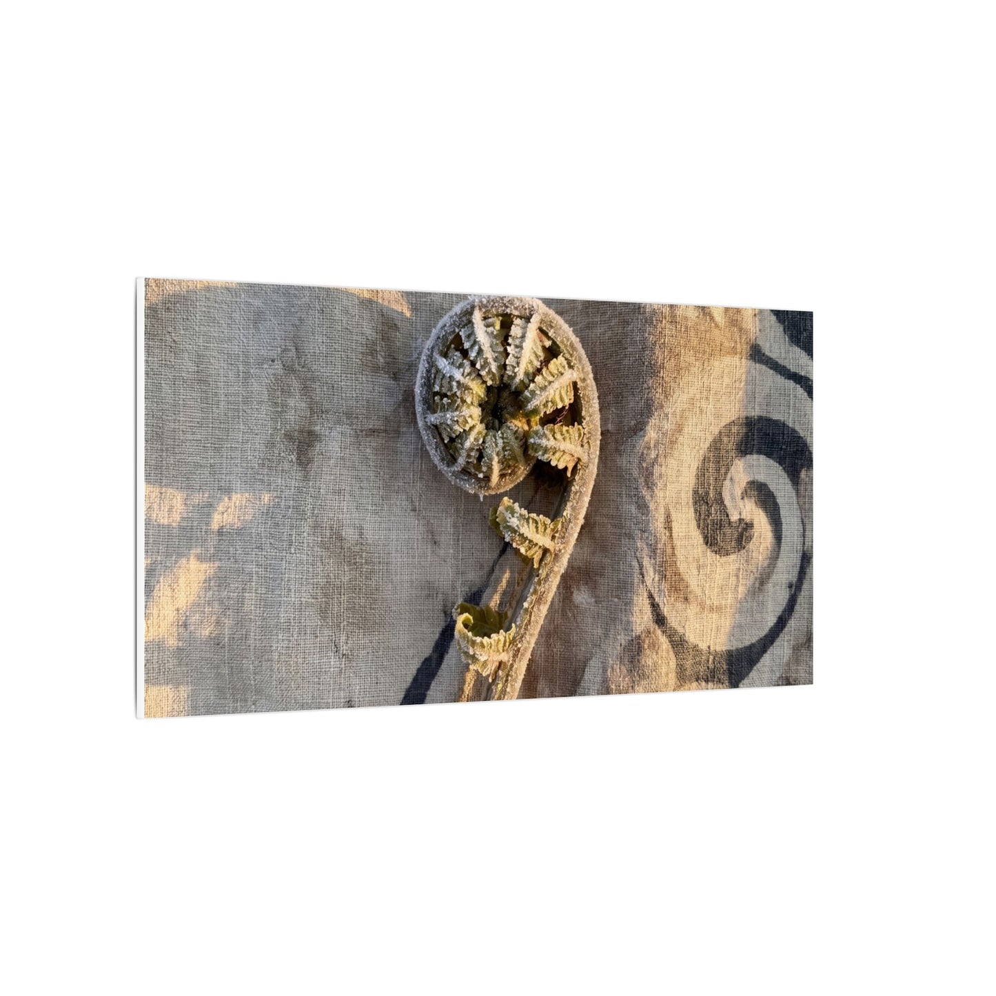 Fern Unfurling Canvas Art | Winter Japandi Japanese Pattern Art