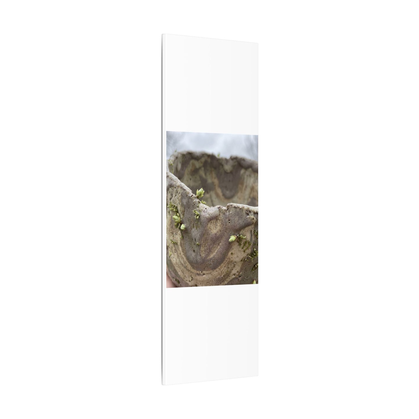 Overcast Ceramic Bowl Canvas Art - Japandi Fukinsei