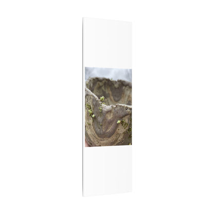 Overcast Ceramic Bowl Canvas Art - Japandi Fukinsei