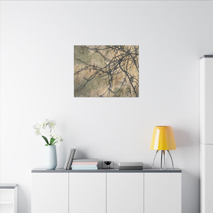 Japandi Shadow Play in Golden Hour | Texture Canvas Art