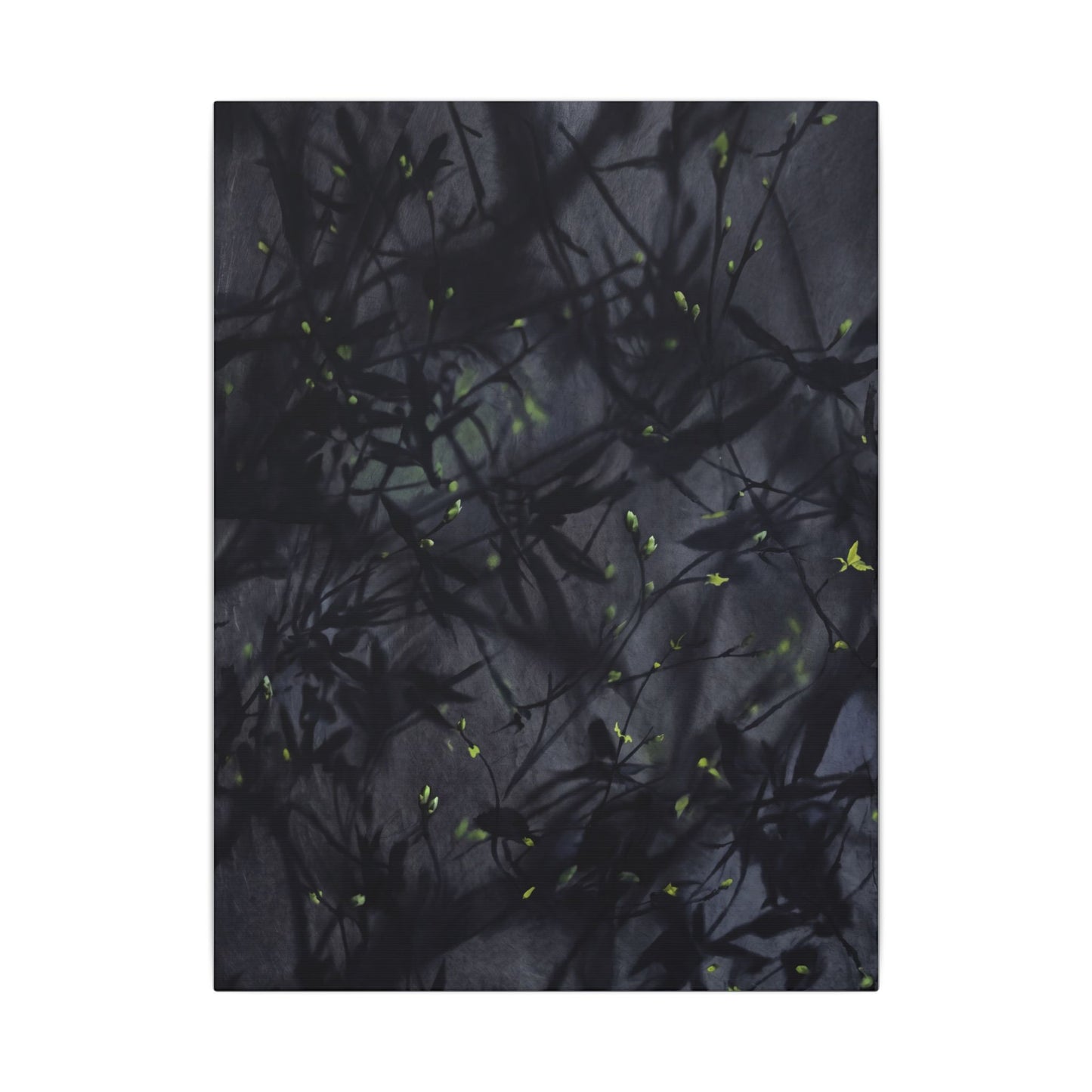 Shadow Play Spring Canvas Art | Dark Japandi Atmospheric Design