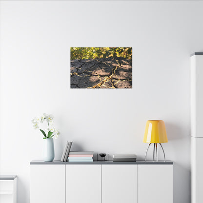 Shibui Cracked Earth Canvas Art - Kintsugi Gold Repair
