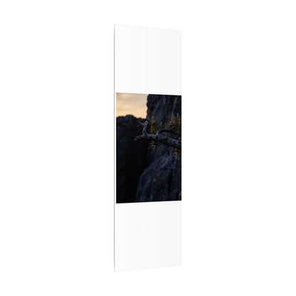 Pine Tree Moody Minimal Canvas Art | Sophisticated Dark Japandi Art
