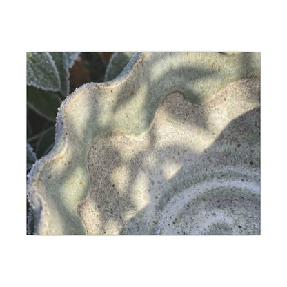 Dappled Ceramic Bowl Canvas Art - Japandi Seijaku Art Print
