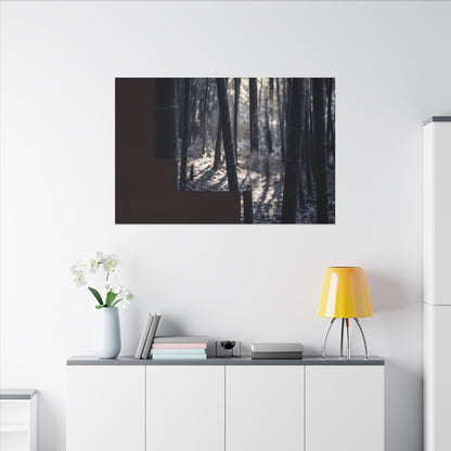 Bamboo Grove Canvas Art | Winter Dark Japandi Moody Minimal Art