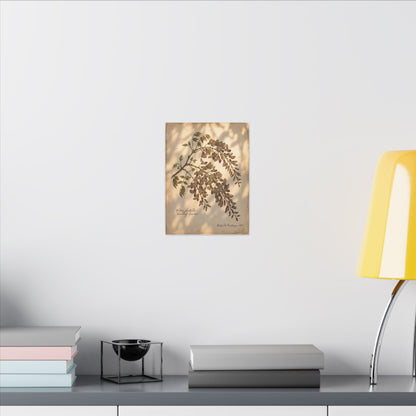 Spring Wisteria Herbarium Canvas Art | Earthy Decor