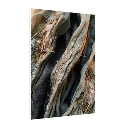 Silk Drape Winter Canvas Art | Japandi Cozy Design