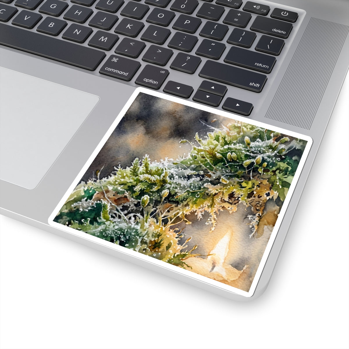 Japandi Moss Close Up in Candlelight | Watercolor Sticker