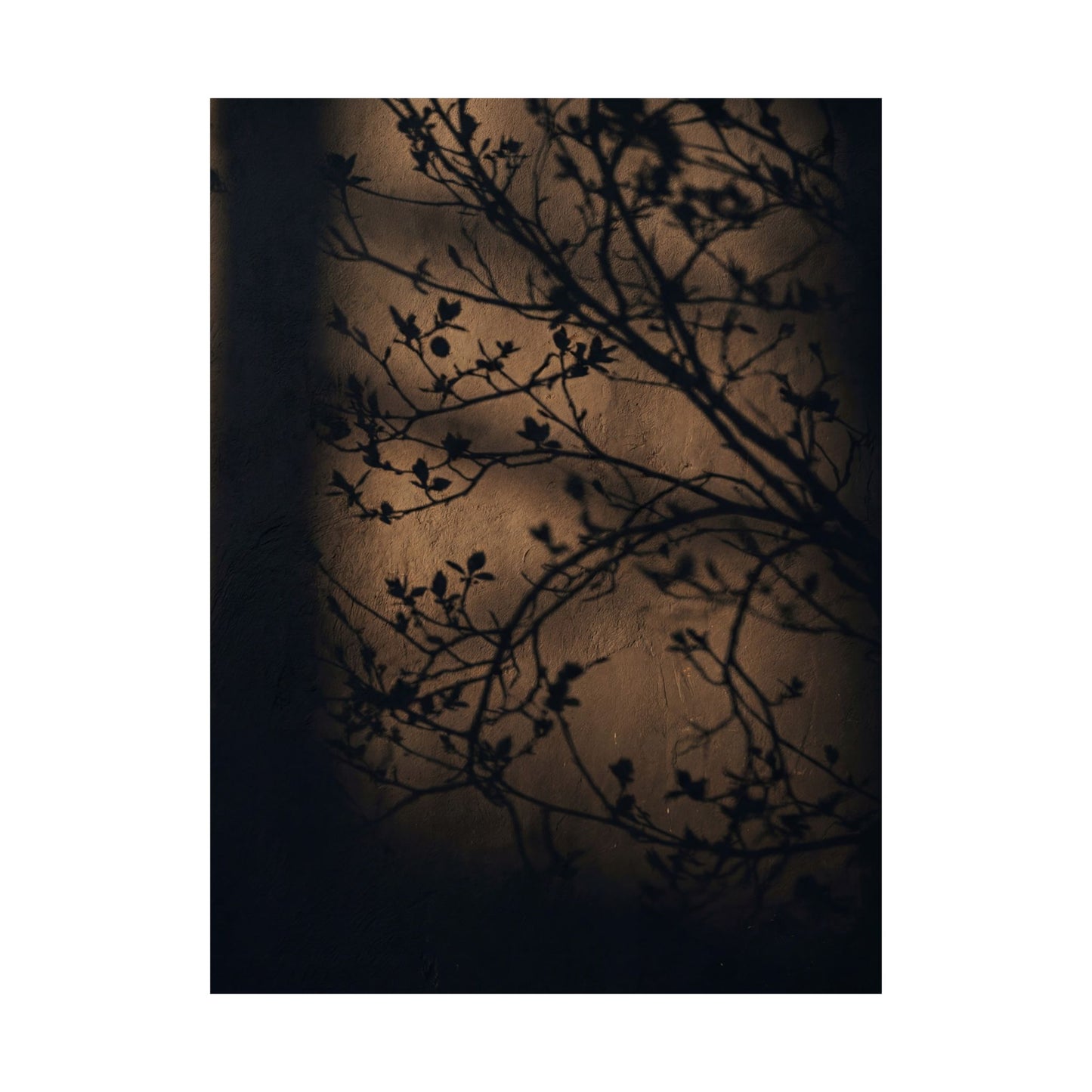 Sophisticated Shadow Play Wall Art Print - Shadow Zen Dark Japandi