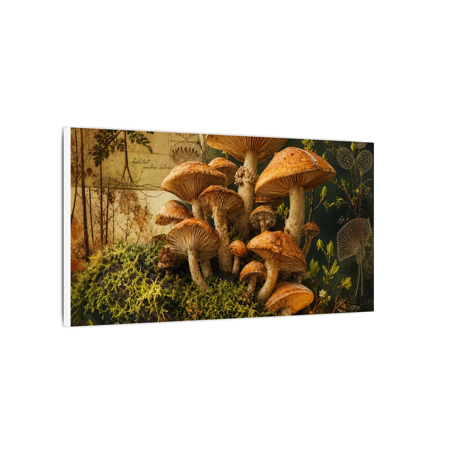 Spring Wild Mushrooms Herbarium Canvas Art | Earthy Decor