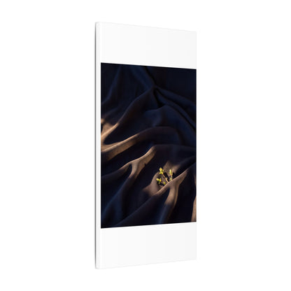 Silk Drape Shadow Zen Canvas Art | Luxurious Dark Japandi Art
