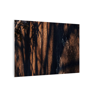 Golden Hour Shadow Play Canvas Art - Dark Japandi Fukinsei