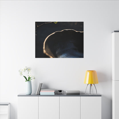 Ma Ceramic Bowl Canvas Art - Dark Japandi Shadow Zen