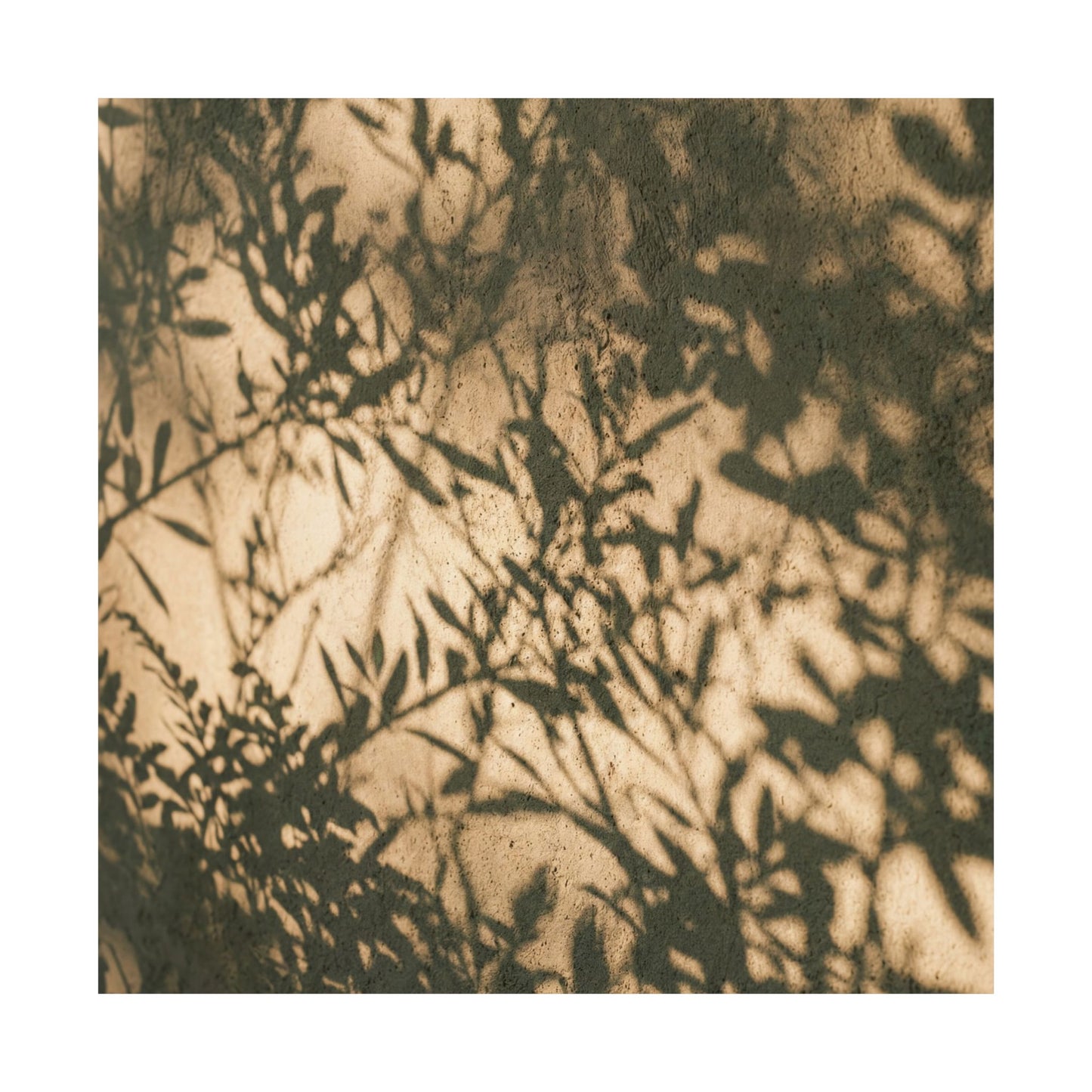 Shibui Shadow Play Wall Art Print - Japandi Minimal Line