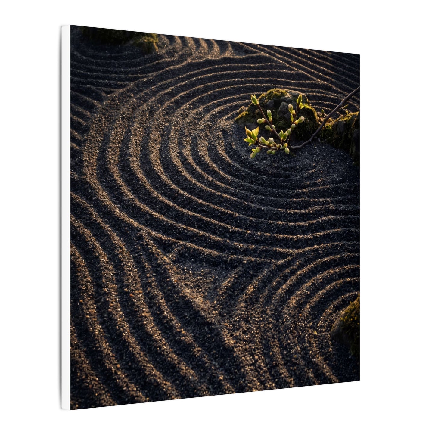 Spring Rock Garden Shadow Zen Canvas Art | Atmospheric Decor