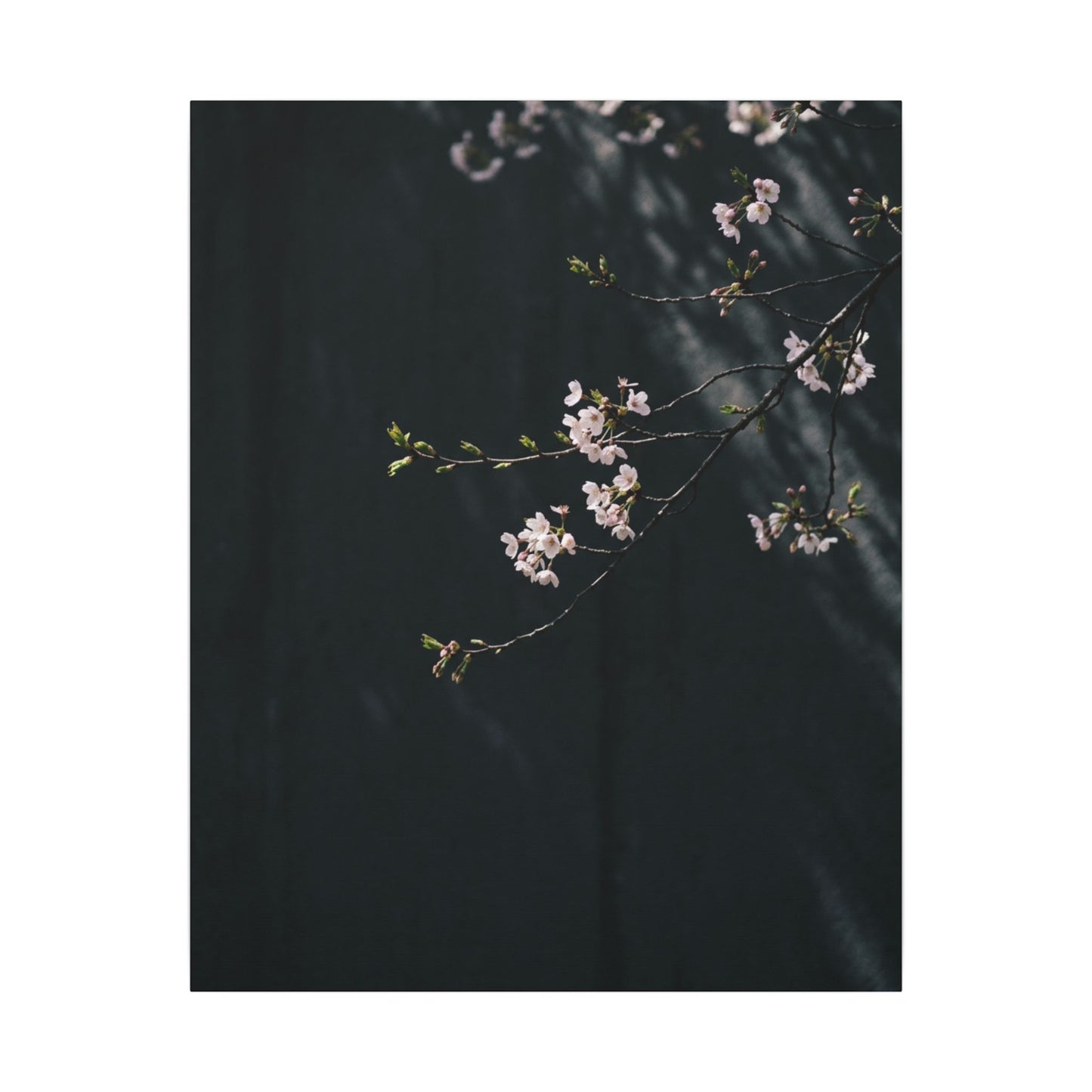 Cherry Blossom Spring Canvas Art | Dark Japandi Sophisticated Design