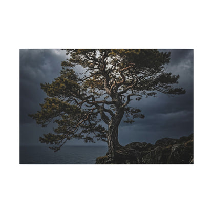 Dappled Pine Tree Canvas Art - Dark Japandi Fukinsei Art Print