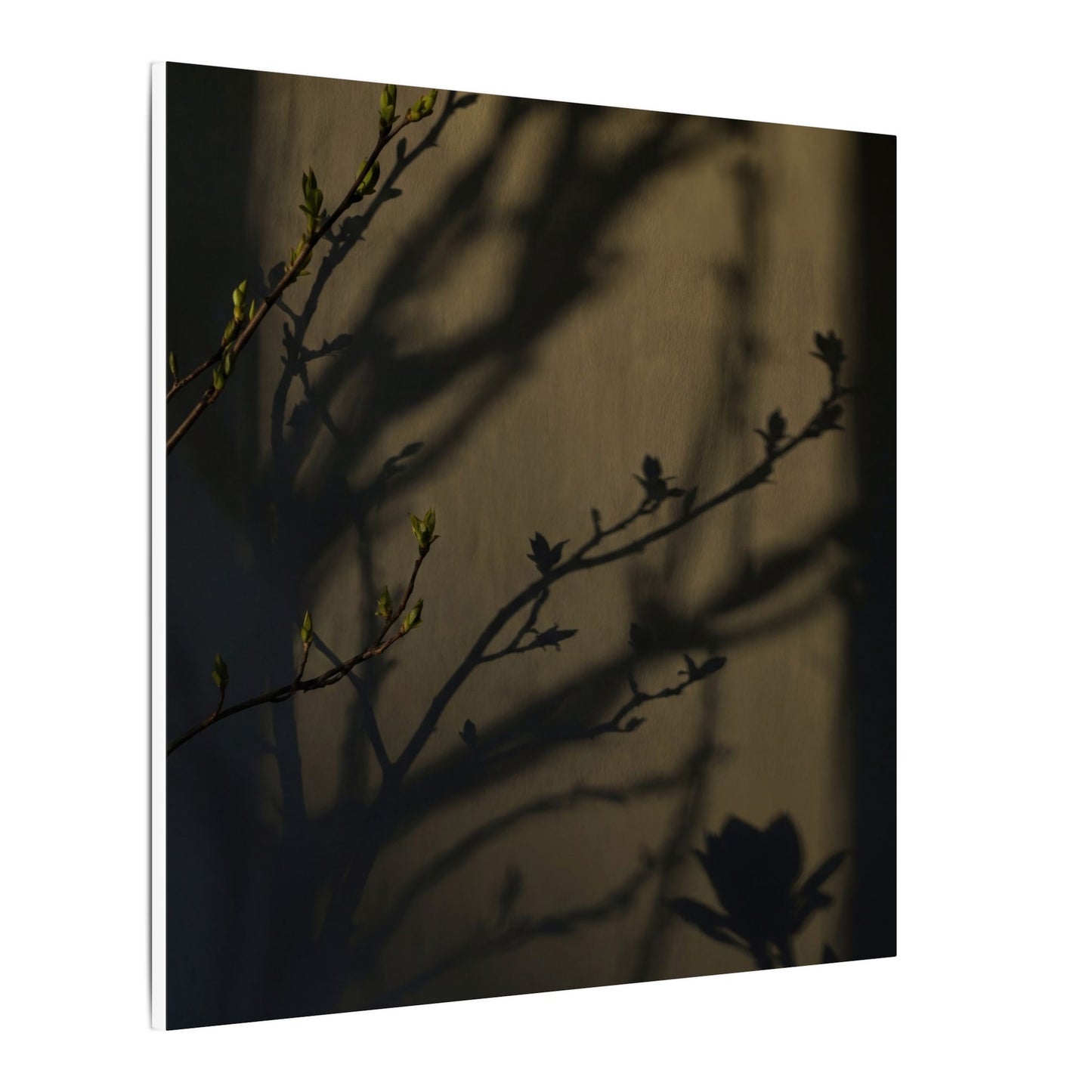 Seijaku Shadow Play Canvas Art - Dark Japandi Charcoal Ink