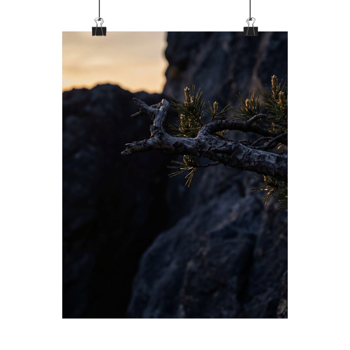 Pine Tree Moody Minimal Wall Art Print | Luxurious Dark Japandi Art Art Print