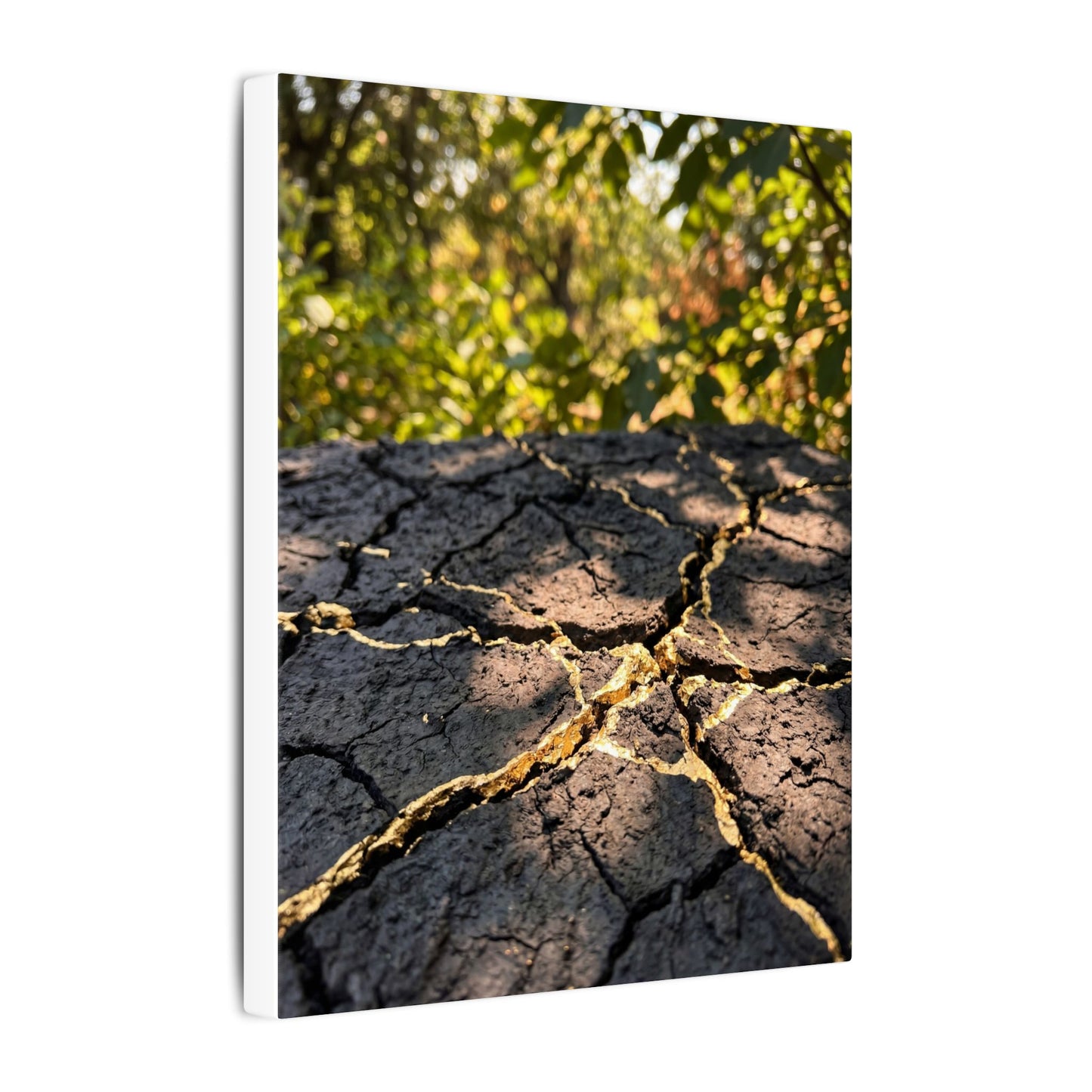 Shibui Cracked Earth Canvas Art - Kintsugi Gold Repair