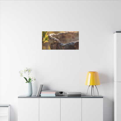 Golden Hour Ceramic Bowl Canvas Art - Dark Japandi Ma