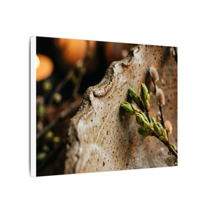 Overcast Ceramic Bowl Canvas Art - Japandi Ma