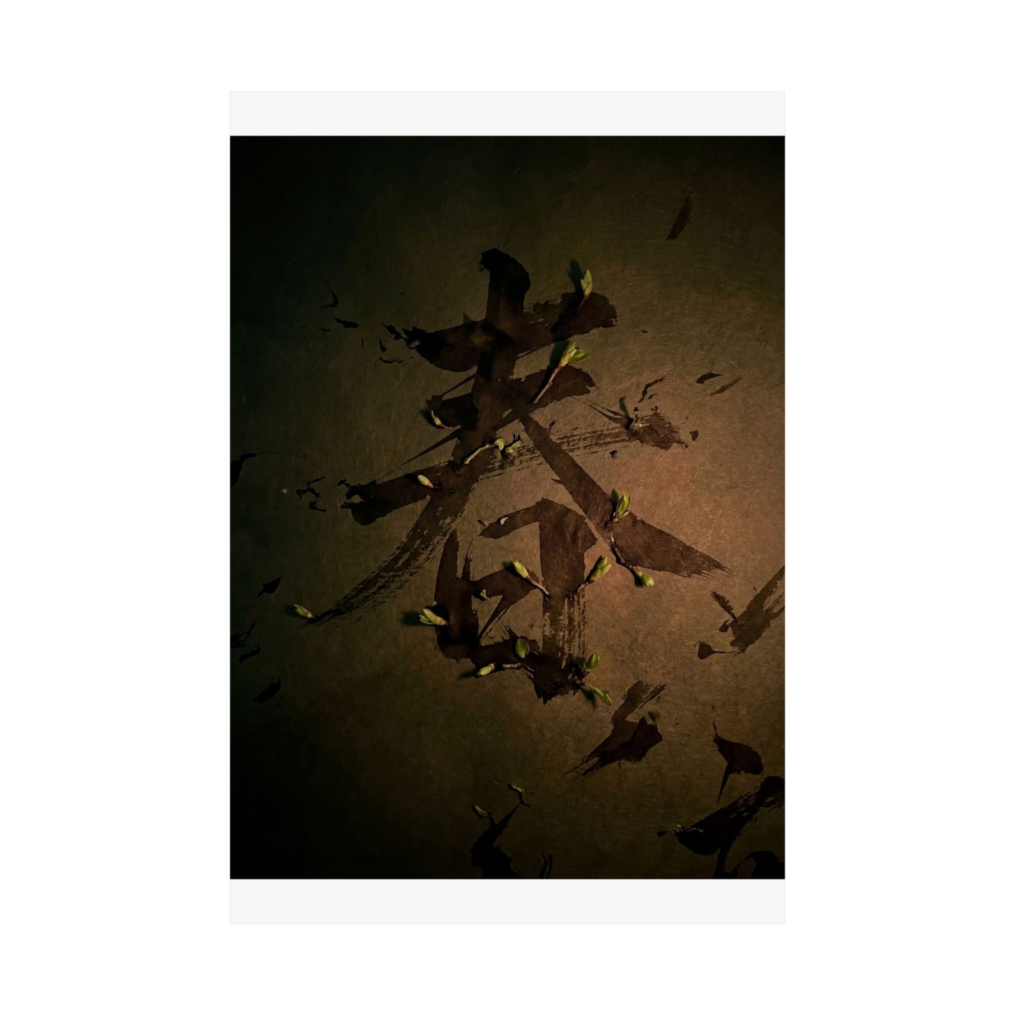 Spring Calligraphy Shadow Zen Wall Art Print | Sophisticated Decor