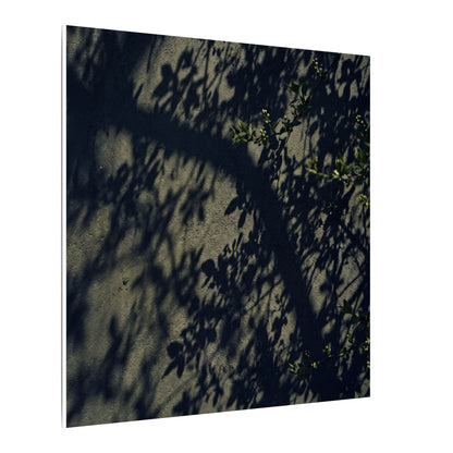 Atmospheric Shadow Play Canvas Art - Moody Minimal Dark Japandi
