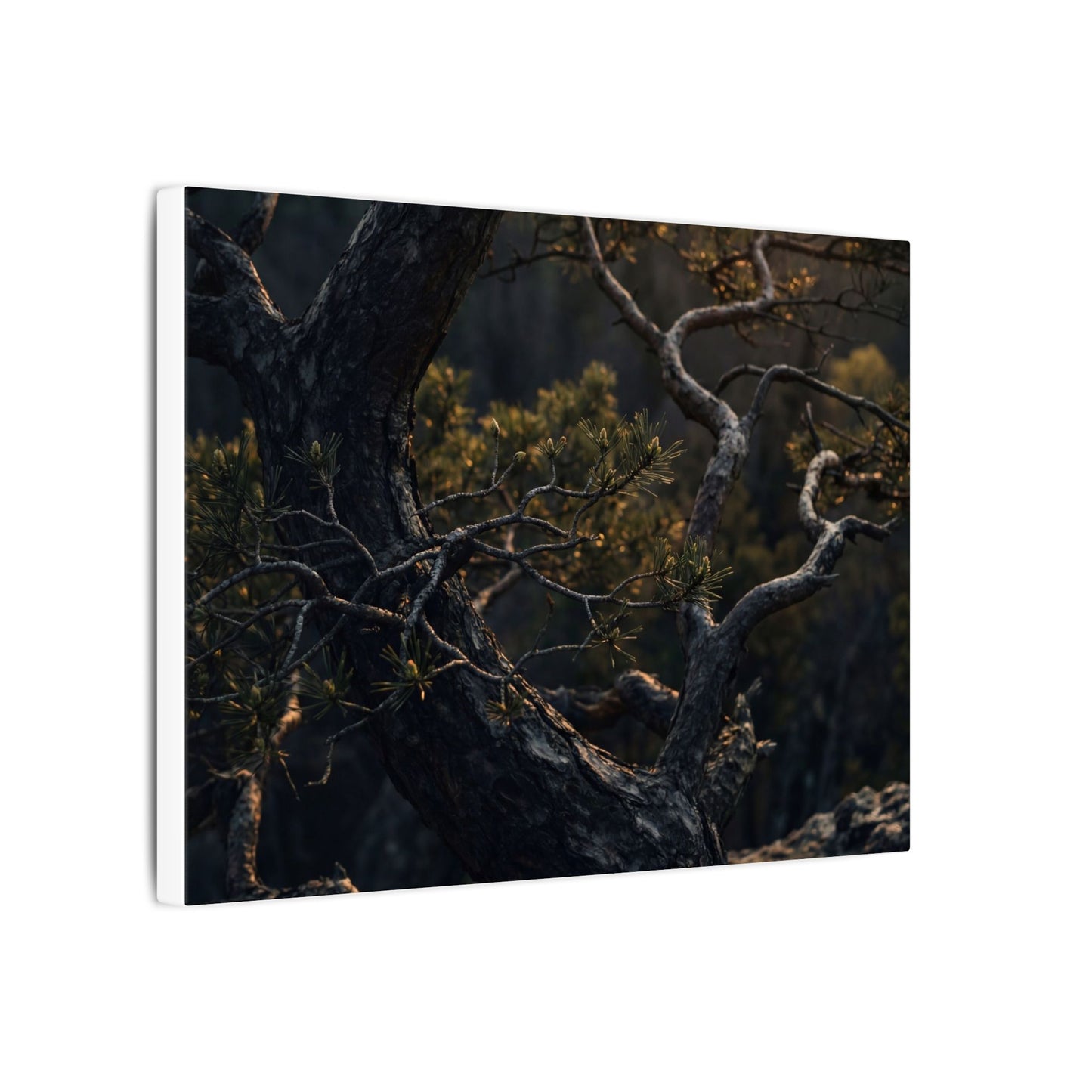 Moody Pine Tree Canvas Art - Moody Minimal Dark Japandi