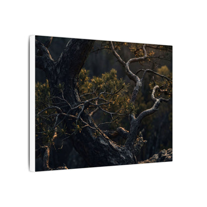 Moody Pine Tree Canvas Art - Moody Minimal Dark Japandi
