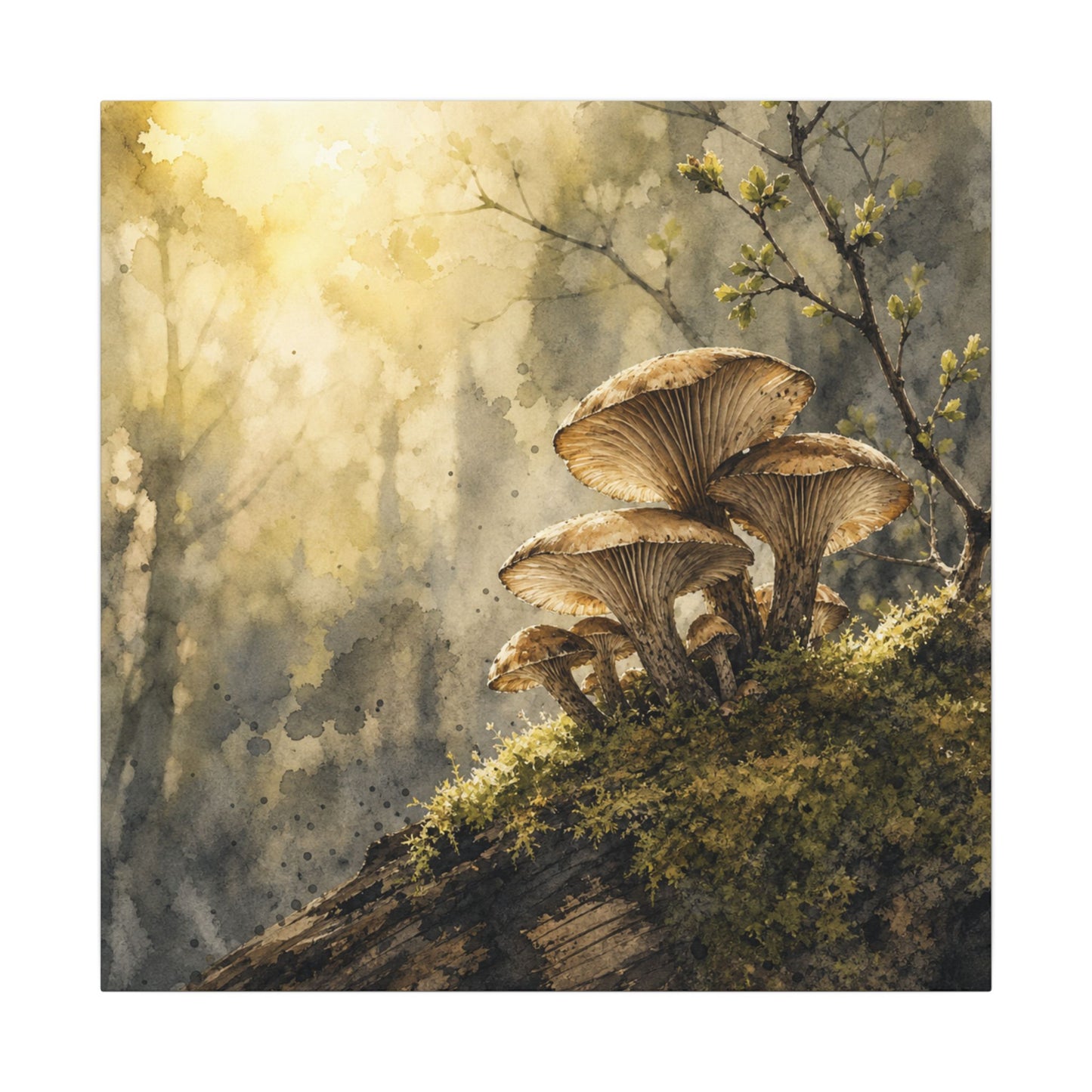 Wild Mushrooms Canvas Art | Spring Japandi Watercolor Art