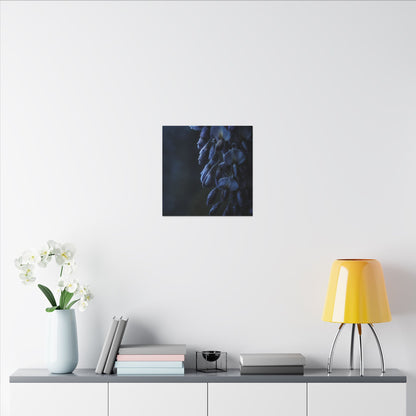 Winter Wisteria Shadow Zen Canvas Art | Atmospheric Decor