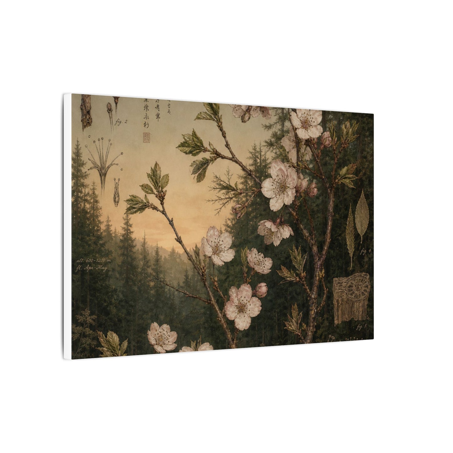 Spring Cherry Blossom Herbarium Canvas Art | Nostalgic Decor
