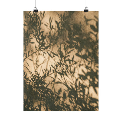 Shibui Shadow Play Wall Art Print - Japandi Minimal Line Art Print