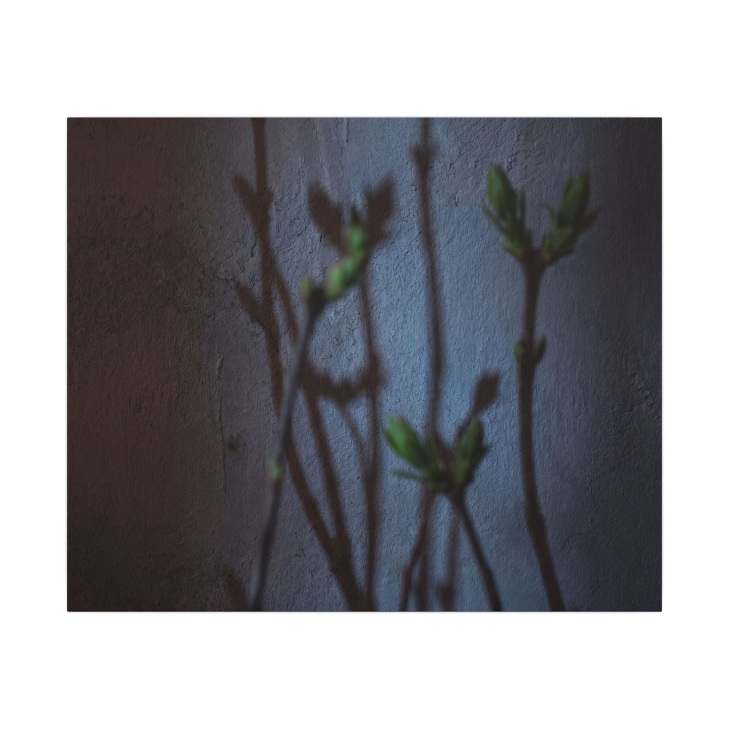 Shadow Play Spring Canvas Art | Dark Japandi Sophisticated Design