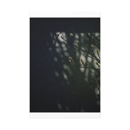 Dark Japandi Shoji Screen in Dappled | Moody Minimal Canvas Art